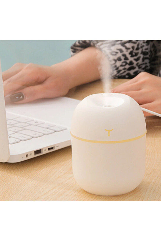 دستگاه بخور مرطوب کننده هوا 220 میلی لیتری با نور LED Colorful Egg Humidifier