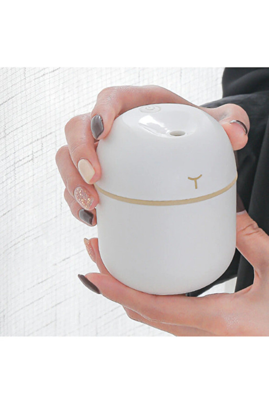 دستگاه بخور مرطوب کننده هوا 220 میلی لیتری با نور LED Colorful Egg Humidifier