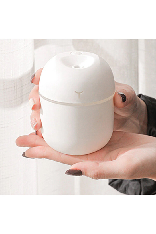 دستگاه بخور مرطوب کننده هوا 220 میلی لیتری با نور LED Colorful Egg Humidifier